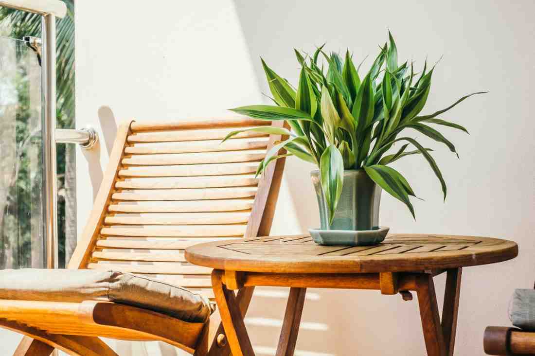 Bamboo patio coffee table with white ceramic cups and indoor plant decor
